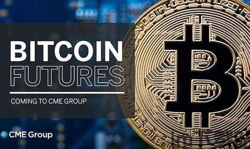 比特币持仓直播在哪看,实时掌握比特币动态(图2)