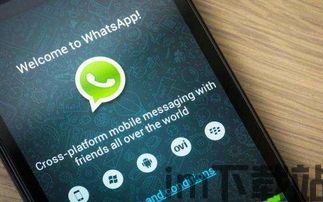 中国手机号whatsapp,详细指南与常见问题解答(图2)