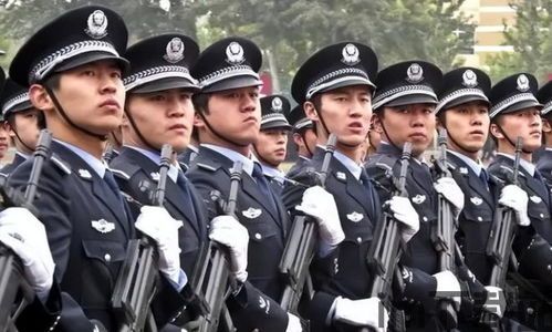 中国警察用skype吗,中国警察使用Skype的现状与原因分析(图2)