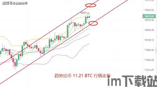 比特币最大持仓机构排名,揭秘加密货币市场的巨头(图3)