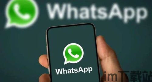 中国的whatsapp还可以用吗,中国WhatsApp使用现状分析(图2)