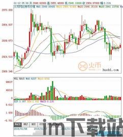 2013年2月比特币(图4)