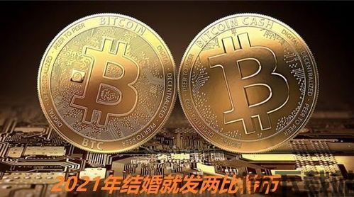 千年之恋比特币,千年之恋比特币——数字货币的永恒之选(图6)