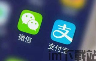 支付宝skype怎么用,支付宝如何充值Skype及使用指南(图9)