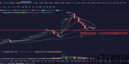 比特币价格时实走势,揭秘市场动态与未来趋势(图3)