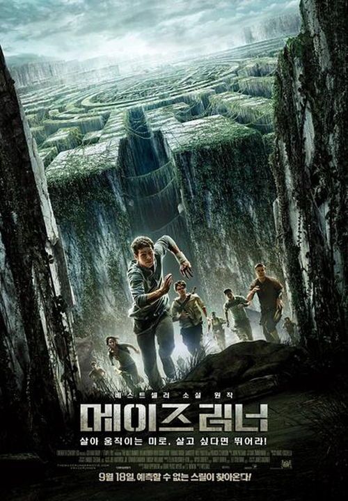 滚动迷宫 (图1) 滚动迷宫 (图1)