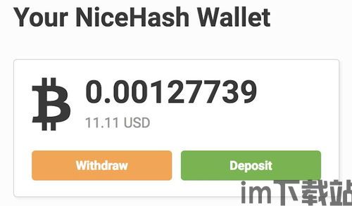 nicehash比特币怎么提现,NiceHash比特币提现全攻略(图3)