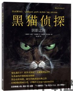 黑猫侦探(图3)