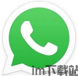 做外贸whatsapp头像,助力客户开发(图2)