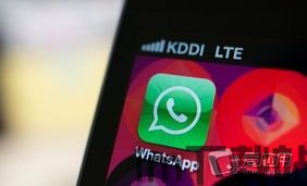 中国whatsapp最新消息,功能升级与市场布局揭秘(图2)