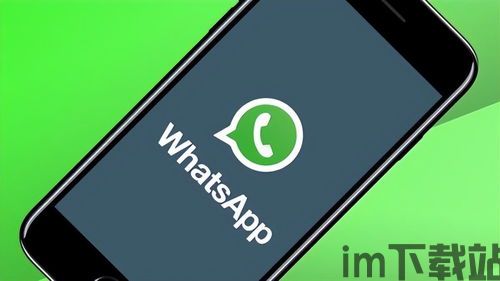 这几天为什么不能上WhatsApp,原因揭秘与应对策略(图2)