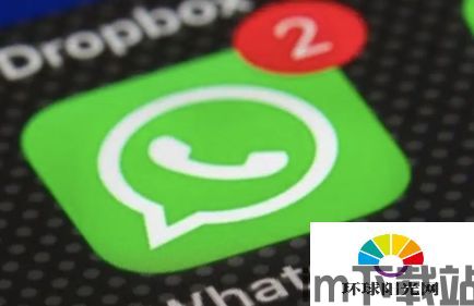 这几天为什么不能上WhatsApp,原因揭秘与应对策略(图3)