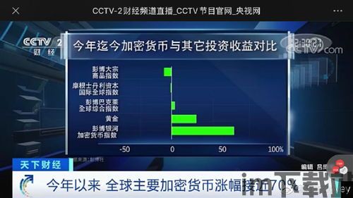 中央电视台 加密货币,揭秘中央电视台视角下的加密货币风云(图2)