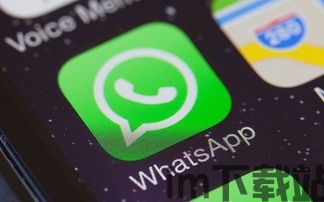 智利管家用whatsapp吗,WhatsApp成为沟通新宠(图1)