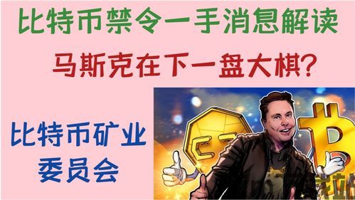 比特币一手资讯,市场展望与策略解析(图3)