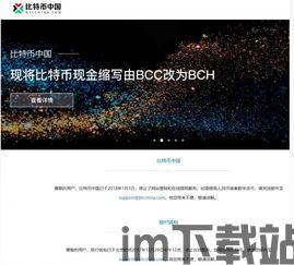 比特币中国股票代码,揭秘股票代码背后的投资奥秘(图3) 比特币中国股票代码,揭秘股票代码背后的投资奥秘(图3)
