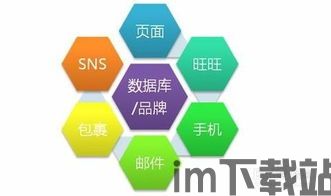 展会结束后whatsapp跟进,展会后WhatsApp跟进总结(图1)