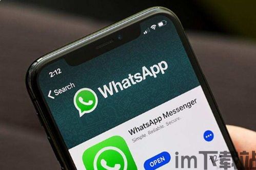 中国whatsapp安全性,蝙蝠App如何守护隐私与安全(图3)