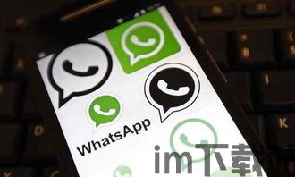 中国whatsapp安全性,蝙蝠App如何守护隐私与安全(图2)