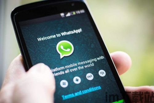 中国怎么下载whatsapp,中国地区WhatsApp下载指南(图1)