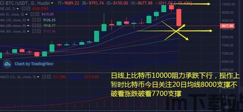 最早的以太坊市场,从初生代币到全球第二大加密货币的崛起(图3)