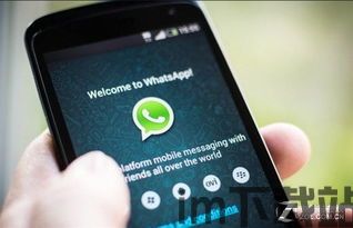 最近whatsapp总被封号,新手防封攻略全解析！(图1)