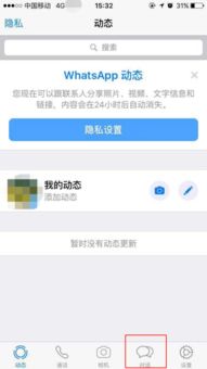 智利whatsapp加什么号码,解锁与亲朋好友无缝沟通的便捷之门(图2)