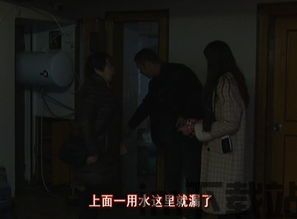 神秘邻居收哦与开发商,一场未解之谜的揭秘之旅(图3)