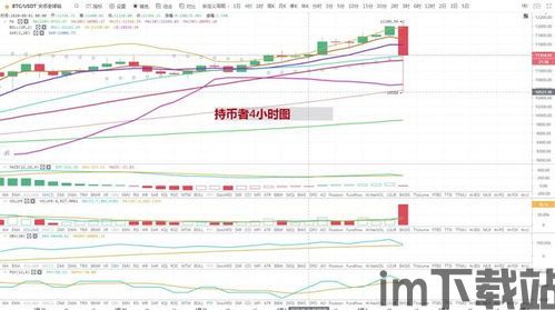 比特币暴跌特点分析图,波动性、市场影响与应对策略(图3)