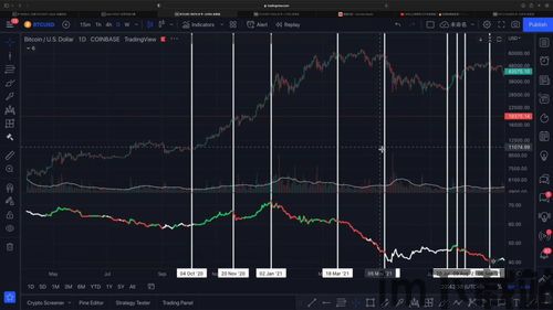比特币指标什么意思,揭示市场趋势与交易时机的关键线索(图3)
