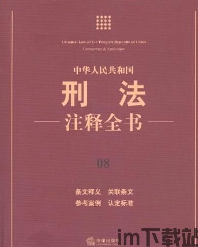 中国加密货币刑法解释,合法财产保护与犯罪惩处边界(图2)