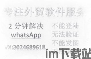 中國連whatsapp方法,社交新宠儿的崛起之路(图2)