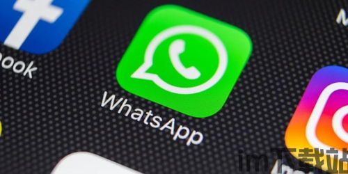 知乎whatsapp,揭秘社交平台背后的故事与影响(图1)