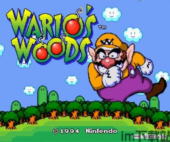 wario(图3)