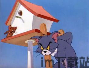 统会分配两种职业,一种是老鼠一种是猫,作为老鼠需要躲避猫的抓捕,完成指定任务方,老鼠的生存挑战与猫的追逐策略(图2) 统会分配两种职业,一种是老鼠一种是猫,作为老鼠需要躲避猫的抓捕,完成指定任务方,老鼠的生存挑战与猫的追逐策略(图2)