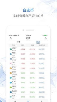 v-token是比特币,解码比特币衍生代币的奥秘与价值(图2)