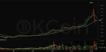 比特币影响外汇管制,揭秘其对外汇管制的颠覆性影响(图2) 比特币影响外汇管制,揭秘其对外汇管制的颠覆性影响(图2)