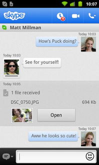 skype接收图片预览,共享美好时光(图2)