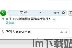 skype打电话问题,Skype通话故障排查与解决指南(图1)