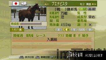 赛马大亨 评价,刺激体验与策略经营的完美融合(图2)