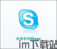 skype和微软的合作伙伴,共创通讯新时代的篇章(图1)