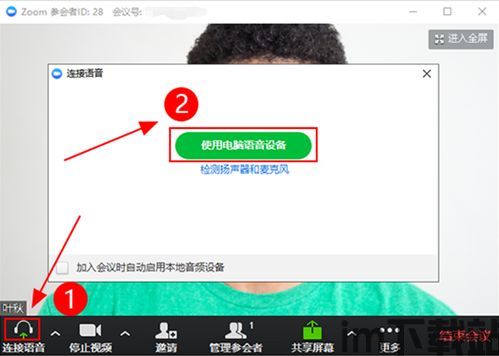 skype会议链接没有声音,Skype会议无声音问题解析与解决方案(图3)