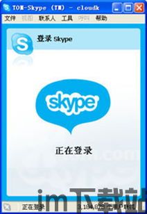 skype女性用户,社交新风尚的引领者(图1)