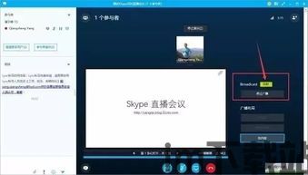 skype会议播放视频,Skype会议视频内容精要概述(图2)