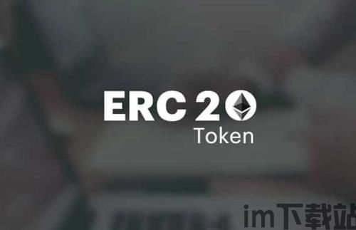 支持以太坊erc20的钱包,全面解析主流钱包及其功能特点(图1)