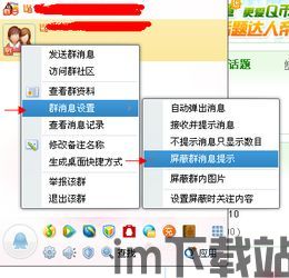 skype群设置屏蔽,如何有效屏蔽不必要打扰(图1)