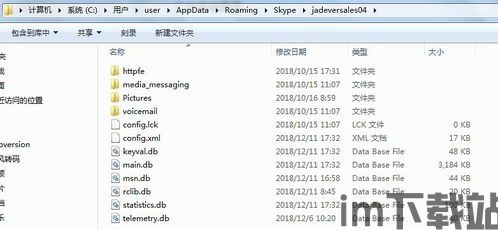 skype导出历史记录,回顾往昔沟通瞬间(图3)