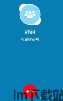 skype不能与好友视频通话,Skype视频通话故障排查与临时解决方案解析(图1)