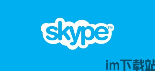 skype存盘金,解锁沟通新境界(图1)