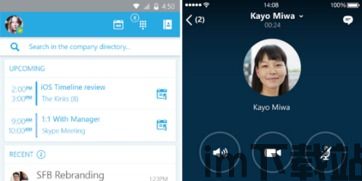 skype尝鲜版,体验未来通讯新篇章(图3)